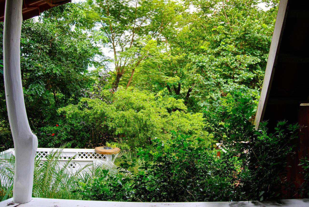 Hacienda Sarah Vila Nosara Exterior foto